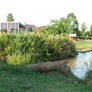 lake water stock 03