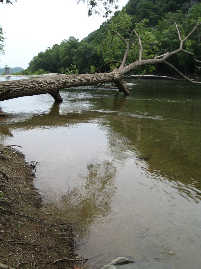 A Narrow Bridge to Walk