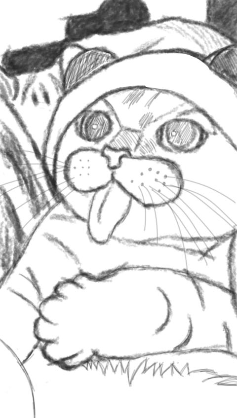 Animal draft -- cat by MichaelLinChingYu on DeviantArt