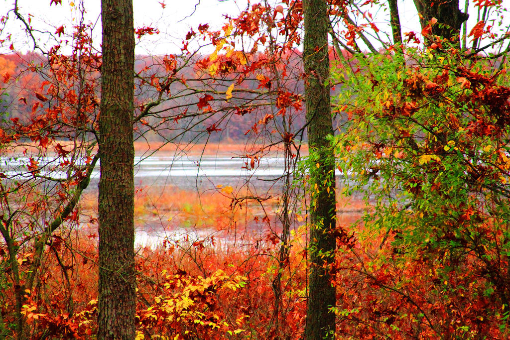 Autumn Rust 23 by Adeimantus on DeviantArt