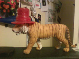 Top-hat Tiger XD