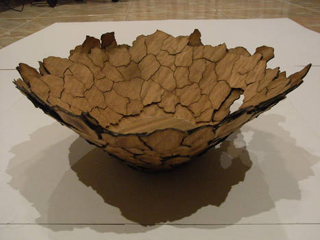 cracked earth bowl