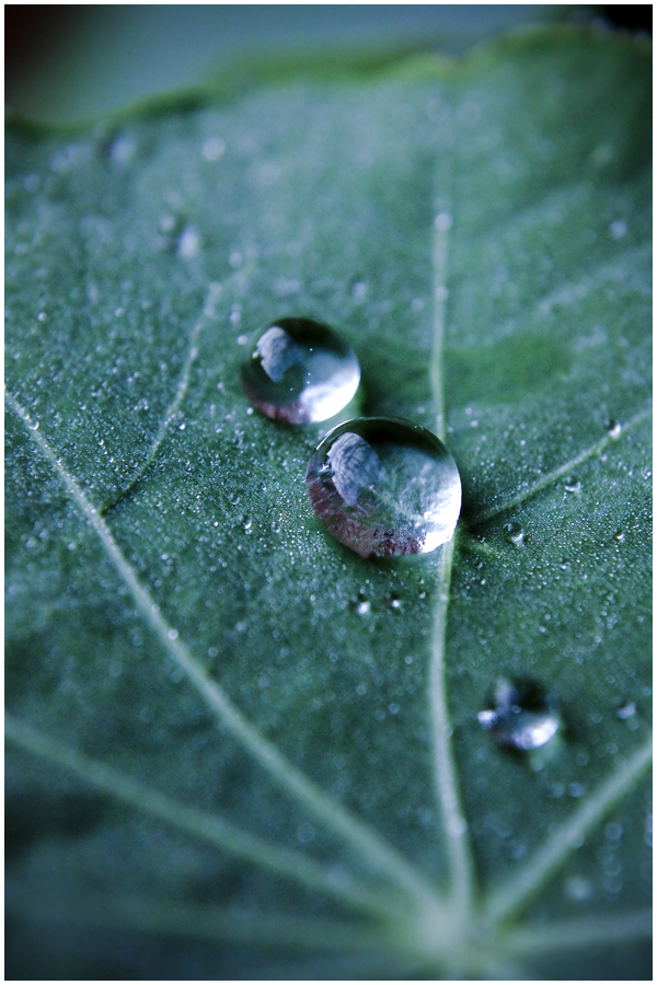 Water Droplets on the Green