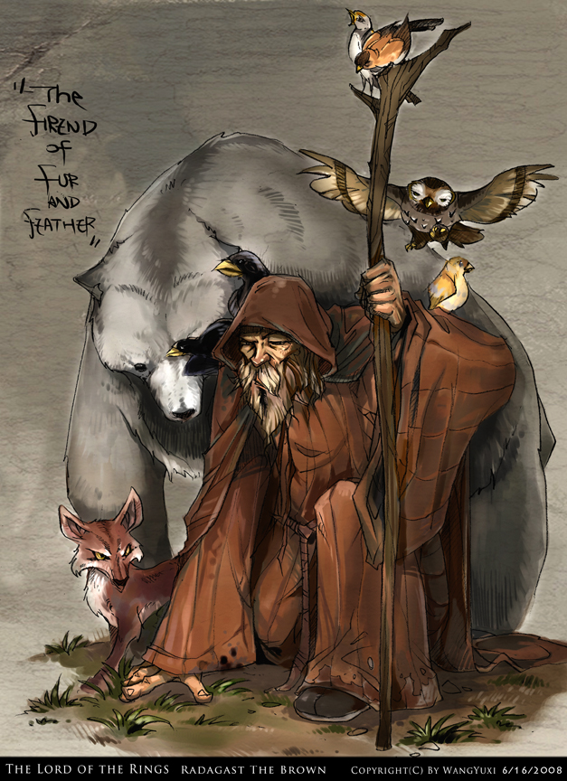 Radagast the Brown by Wangyuxi