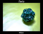 Dahlia by wolbashi