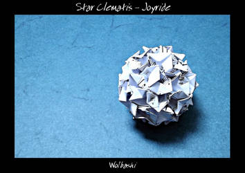 Star Clematis - Joyride