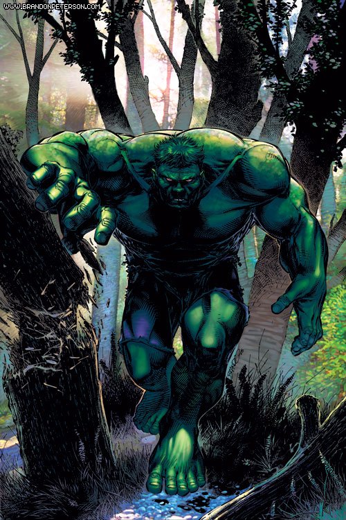 Hulk Issue 88 Cover