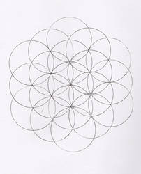 A Simple Flower of Life