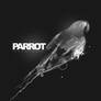 Parrot