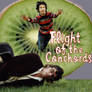 Flight of the Conchords - CD 3