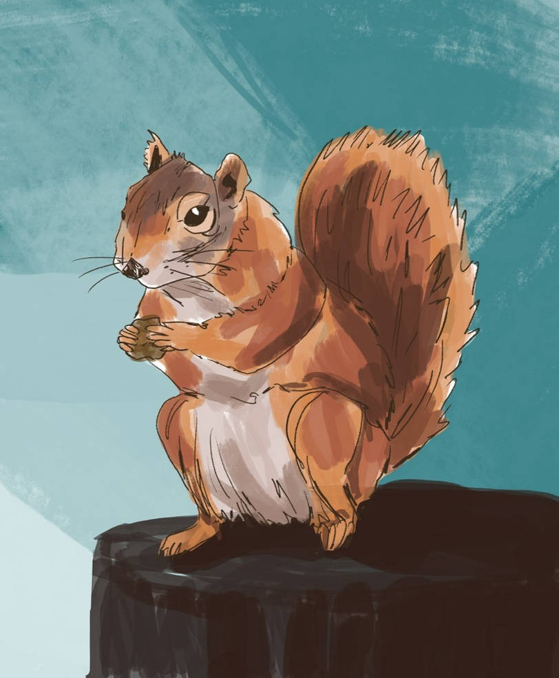 Deviantart Risumon Squirrel Squirrel by Lamingtonlemons on DeviantArt