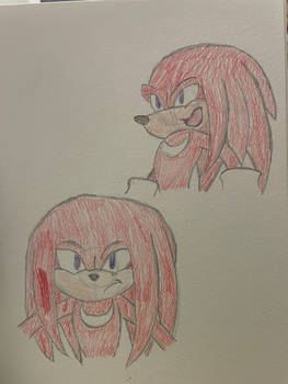 Knuckles the Echidna