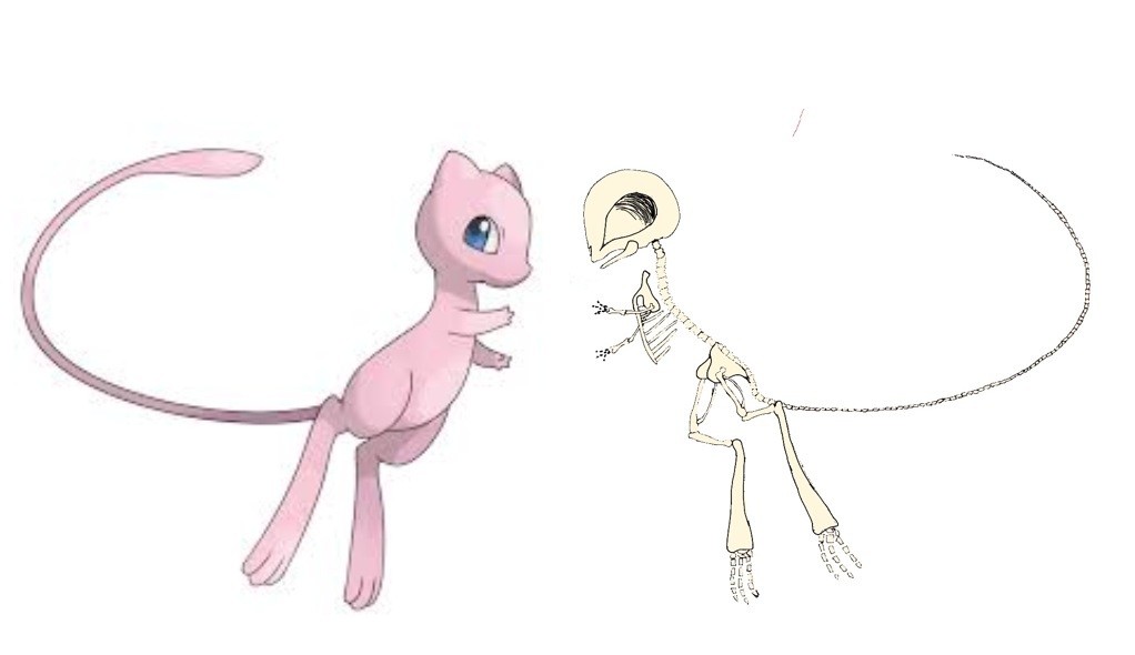 Bone Mew Mew skeleton by doodlelist on DeviantArt
