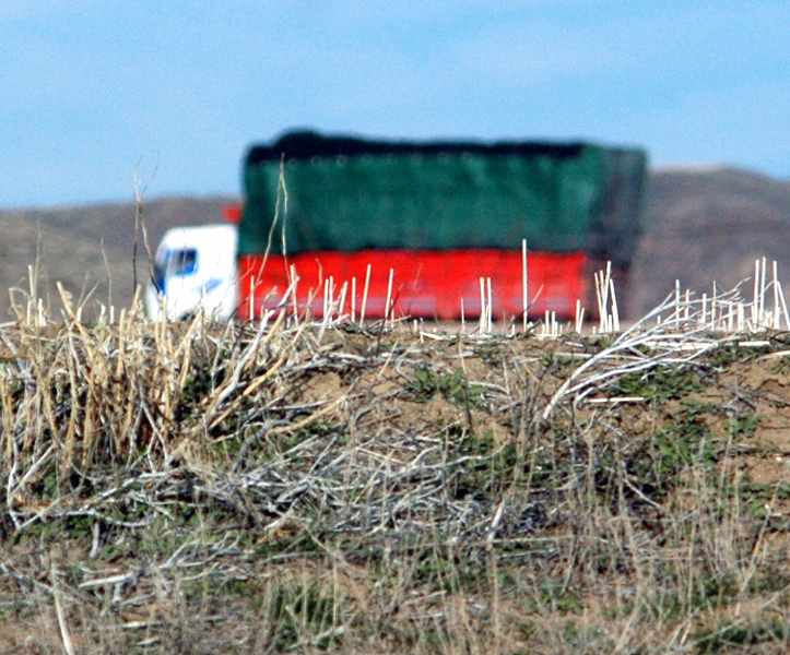 little truck.cropped