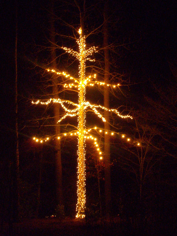 The Electric Tree by Cami-Monster on DeviantArt