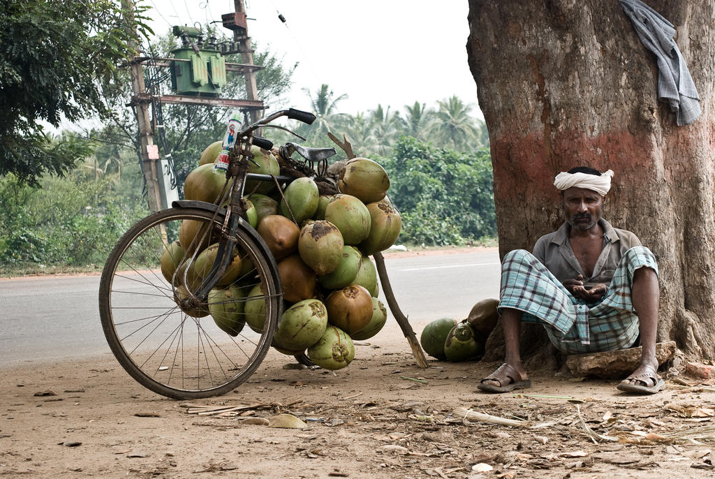 The coconut vendor.