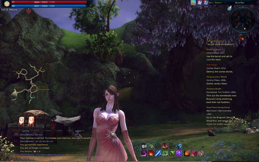 TERA screenshot 11 by DrawingTERAScreens on DeviantArt