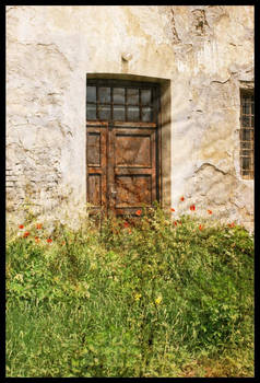 Door and Flowers II