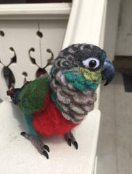 Needle Felted Crimson Bellied Conure