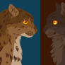 leopardstar and tigerstar