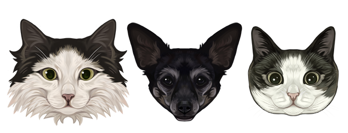 pet commissions