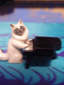 Piano Cat2