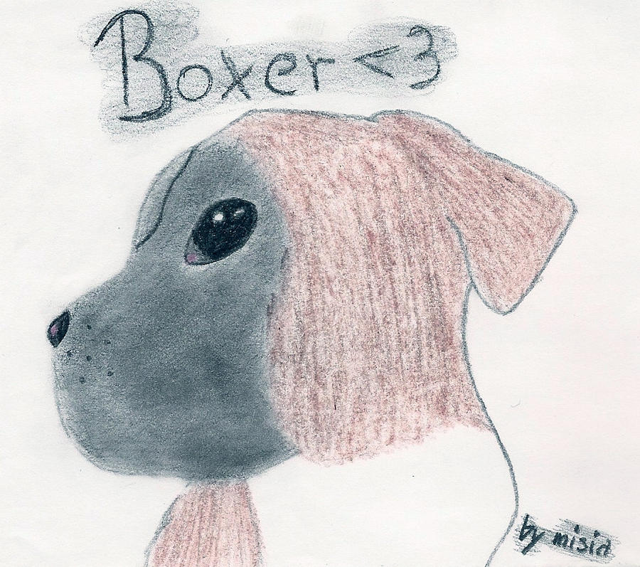 Deviantart Boxer Dog Boxer by Misia08 on DeviantArt