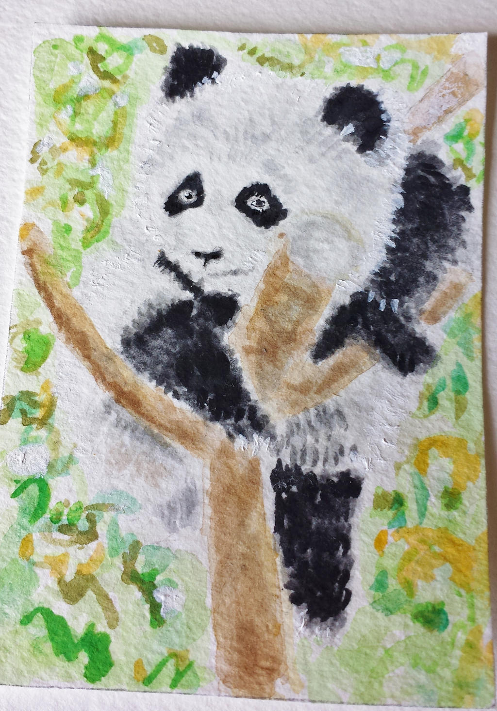 Panda Bear cub watercolor aceo original