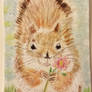 Squirrel with  a pink flower  watercolor