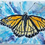 Butterfly watercolor  ACEO original