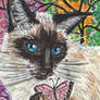 Siamese cat  painting