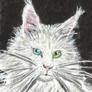 white cat face watercolor  aceo painting