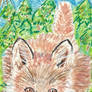 young fox watercolor aceo painting