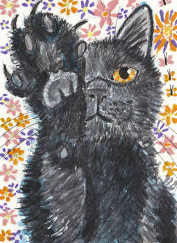 black cat with paw  up  watercolor  aceo painting