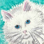 Fluffy  white cat watercolor  aceo painting