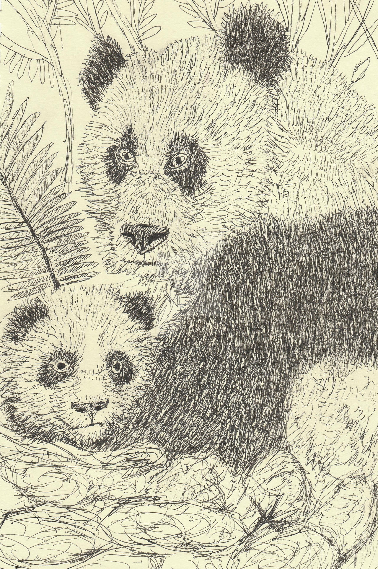 Mother And Baby Panda Bear Pen Drawing By Tulipteardrops On Deviantart Mother And Baby Panda Bear Pen Drawing By Tulipteardrops On Deviantart