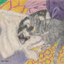 My cats when they were little