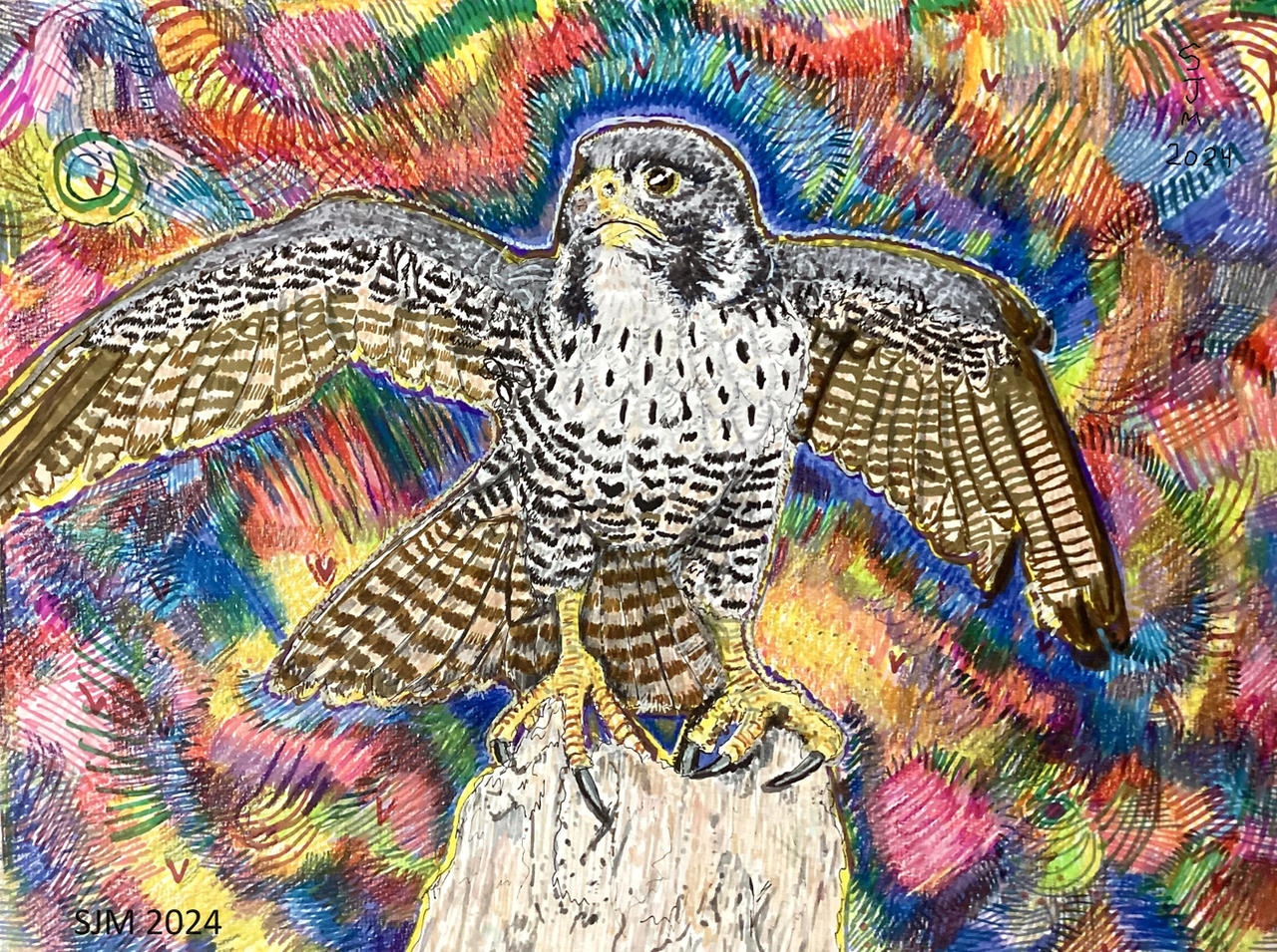 Falcon Colored Falcon markers and colored pencils by tulipteardrops on DeviantArt