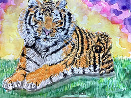 Tiger watercolor painting double size aceo