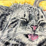 Tabby cat watercolor painting