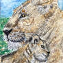 Lion and baby watercolor painting