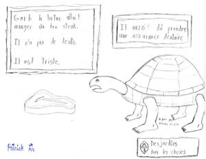 Desjardins Pub: Gorb la Tortue