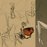 Working on New Fairy Dress up