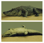Eraser: Fake Alligator by EvanCampbell