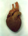 Heart sculpture