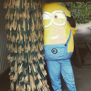 Phil the Minion's new friend 