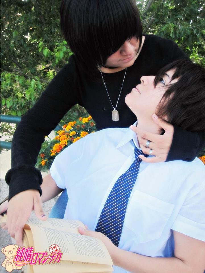 junjou romantica nowaki and hiroki