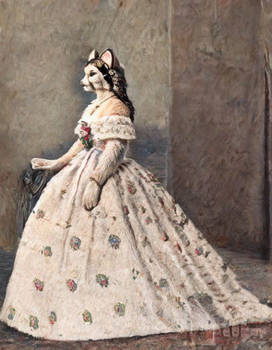 Mary Todd Lincoln the Cat