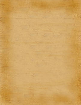 Parchment Paper Texture