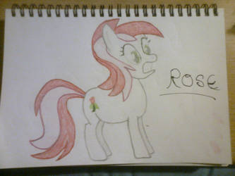 Rose BG Pony